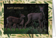 Deer Family, Birthday card