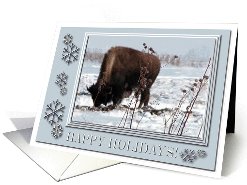Buffalo in the Snow with Snowflake Frame, Happy Holidays card (701106)