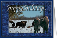 Buffalo, Happy Holidays, Huffing and Puffing card