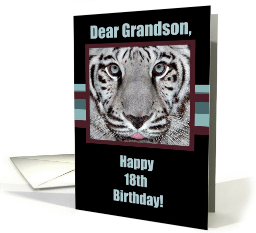 Birthday Greetings,18th Birthday for Grandson, White Tiger card