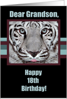 Birthday Greetings,18th Birthday for Grandson, White Tiger card