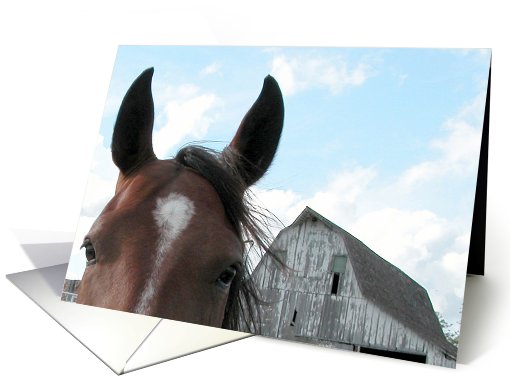 Birthday Greetings,18th Birthday for Grandson, Horse card (704144)