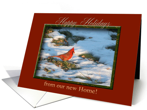 Cardinal in the Snow, from our new Home, Happy Holidays card (707625)