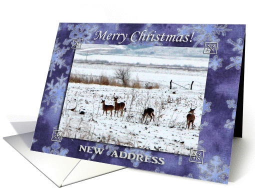 We have moved, Merry Christmas, In the Snow, Deer and Pheasants card