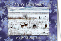 We have moved, Merry Christmas, In the Snow, Deer and Pheasants card