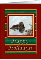 Squirrel Taking a Ice Drink, Happy Holidays card