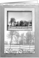 Shadows in the Snow, New Address, Merry Christmas card