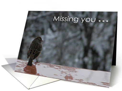 Little Sparrow, Missing you card (726650)