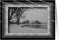 Ducks in a Winter Park, Happy Birthday on Christmas card