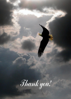 Thank you for your...