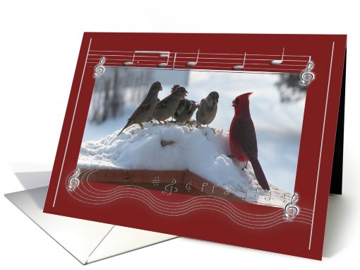 Christmas Caroling Party, Cardinal Singing with the Sparrows card