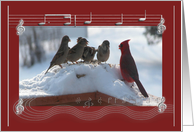 Christmas Caroling...