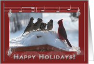 New Address, Happy Holidays, Cardinal Singing with the Sparrows card