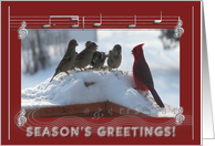 New Address, Season’s Greetings, Cardinal Singing with the Sparrows card