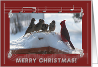 New Address, Merry Christmas, Cardinal Singing with the Sparrows card