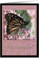 Buon Compleanno, Happy Birthday in Italian, Beautiful Butterfly card