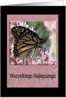 Wszystkiego Najlepszego, Happy Birthday in Polish, Beautiful Butterfly card