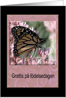 Happy Birthday in Swedish, Beautiful Butterfly card