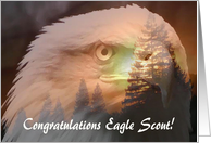 Congratulations Eagle Scout, Through the Trees card