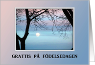 Pastel Sky, Grattis p fdelsedagen, Happy Birthday in Swedish card