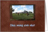 Friendly Welcome, Chc mừng sinh nhật, Happy Birthday in Vietnamese card
