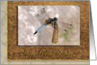 Dragonfly, Birthday Wishes, 64th card