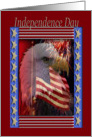 Independence Day, Eagle with Gold Stars card