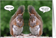 Happy Twins Day, Red Squirrel Humor, Cute and Personality card