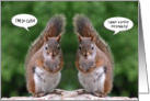 Happy Twins Day, Red Squirrel Humor, Cute and Personality card