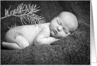 Snowflake on Tree Branch Photo Card