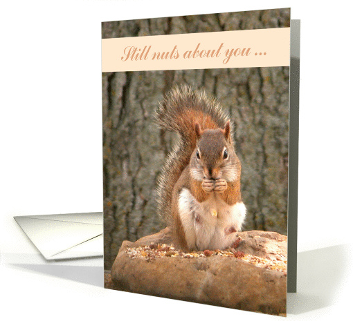 Father's Day to Husband, Red Squirrel, Still nuts about you... card