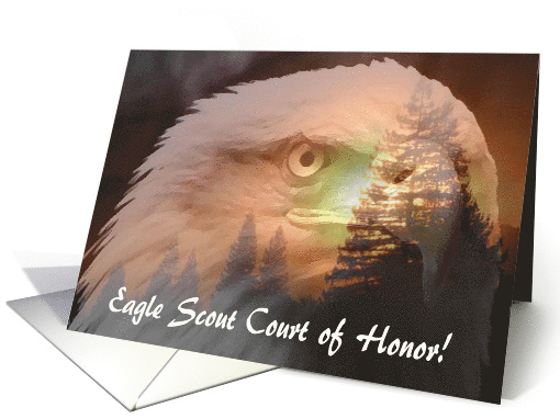 Eagle Through the Trees, Eagle Scout Court of Honor card (930376)