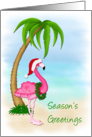 Pink Flamingo Season’s Greetings card