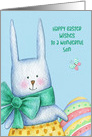 For Son Easter Bunny with Decorated Egg card