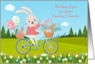 For Grandma and Grandpa Easter Bunny On Bicycle in Spring card