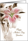 For Grandma Mother’s Day Pink Stargazer Lily card