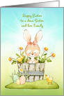 For Sister and Family Easter Bunny, Chicks and Daisies card