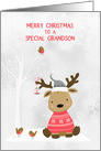 For Grandson Christmas Reindeer with Birds Snow Scene card