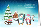 For Sister and Brother in Law Christmas Winter Penguins card
