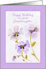 For Granddaughter Happy Birthday with Purple Pansies card