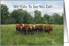 Goodbye from Group with Cows card