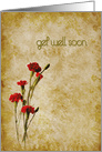 Carnation Grunge Get Well card