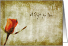 A Gift for You Orange Vintage Rose card