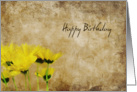 Yellow Daisies Grunge Birthday card