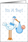 Baby Boy Announcement card