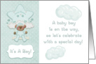 Mint Green Teddy Bear, Baby Boy Shower Invitation card