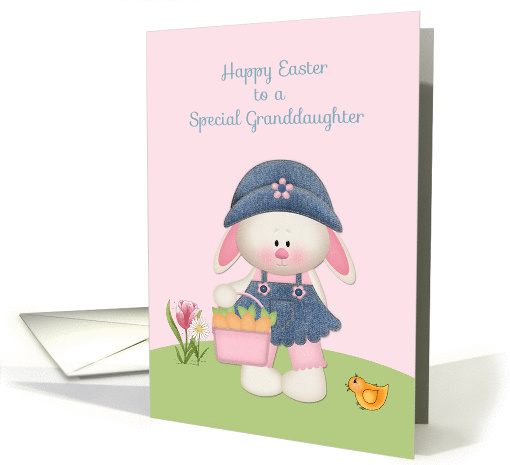 Cute Bunny, Granddaughter, Easter Greeting card (1049911)