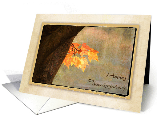 Autumn Leaves, Antique Look, Happy Thanksgiving card (1172872)