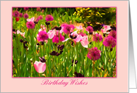 Pink Flower Garden, Birthday Wishes card