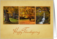 Autumn Foliage Trio, Thanksgiving card